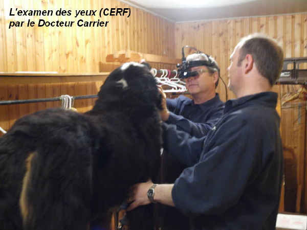 Examen_des_yeux_1.jpg